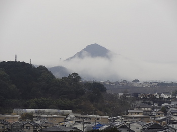 向かいの山の朝霧.jpg